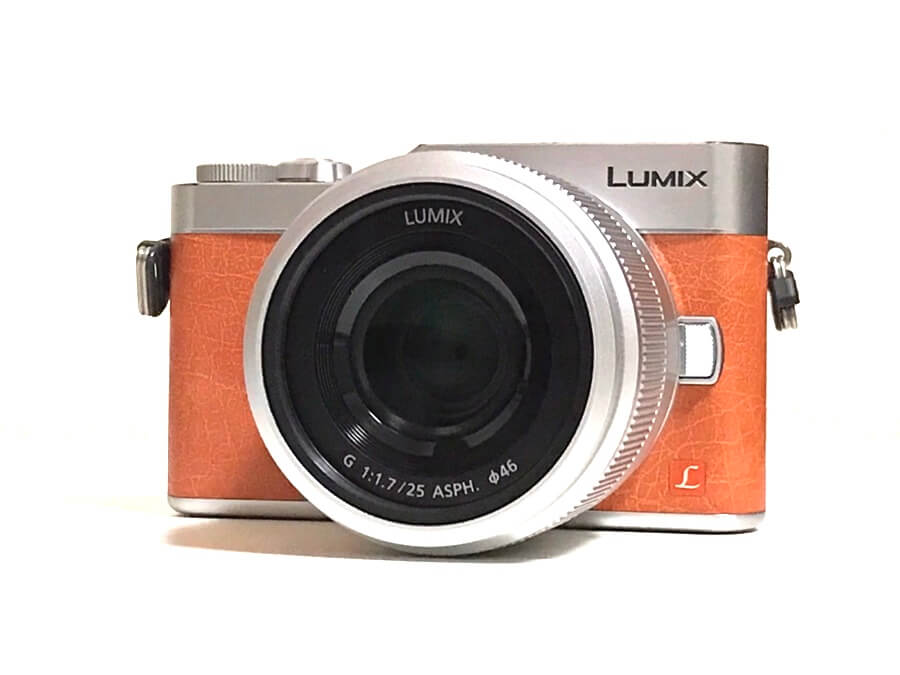 Panasonic LUMIX GF9