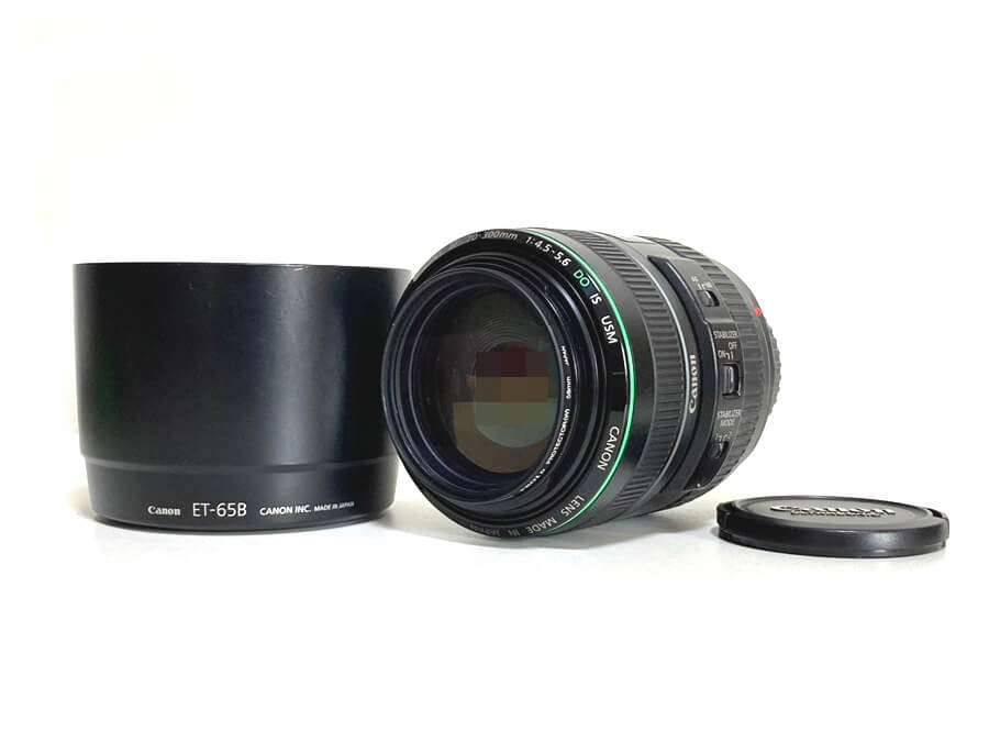 Canon EF 70-300mm F4.5-5.6 DO IS USM 望遠ズームレンズ