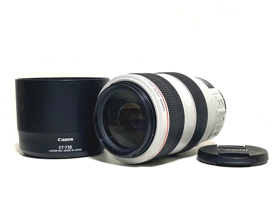 Canon EF 70-300mm F4-5.6L IS USM 望遠ズームレンズ
